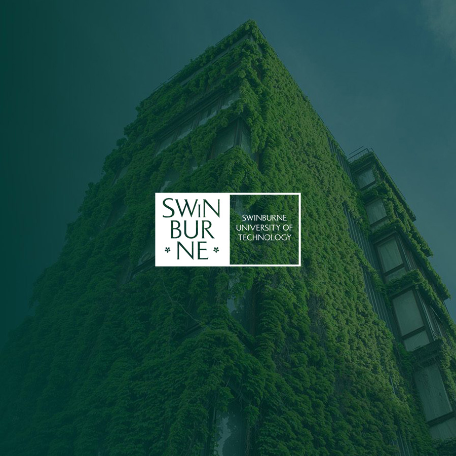 brand visual identity